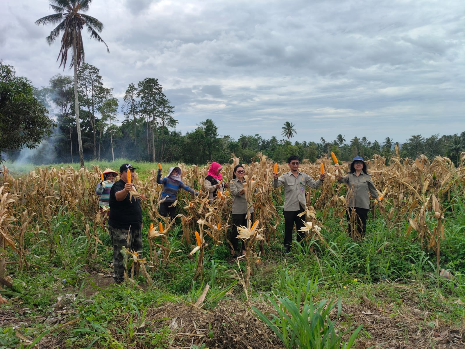 Doc Panen Jagung ICARE 12.01.26