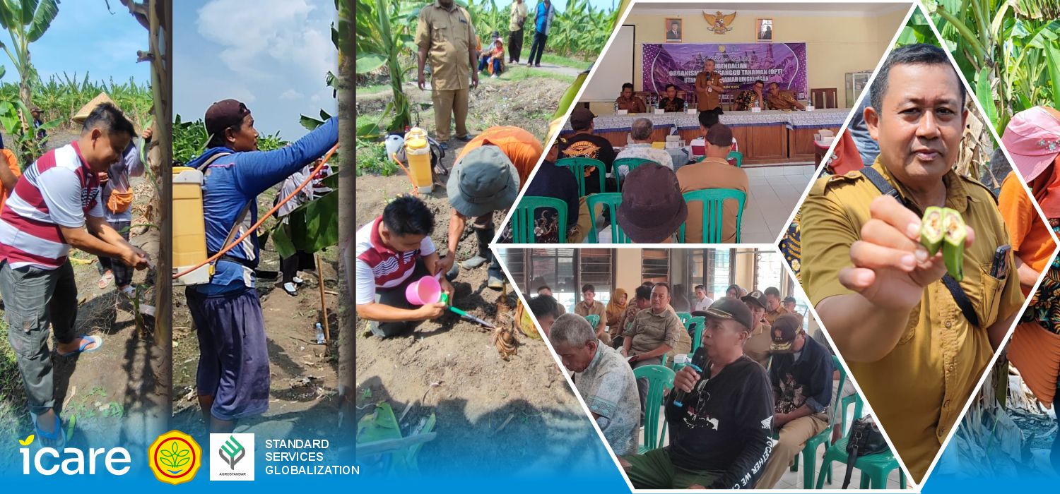 Foto Kegiatan Pelatihan Pengeldalian Organisme Pengganggu Tanaman (OPT) di Brebes